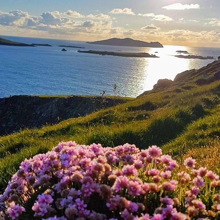 The Plough B&B Ventry Luaran gambar