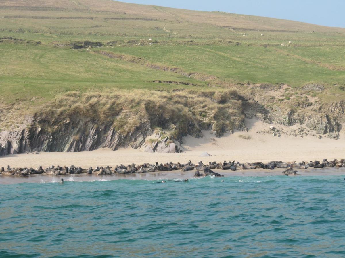 The Plough B&B Ventry Luaran gambar
