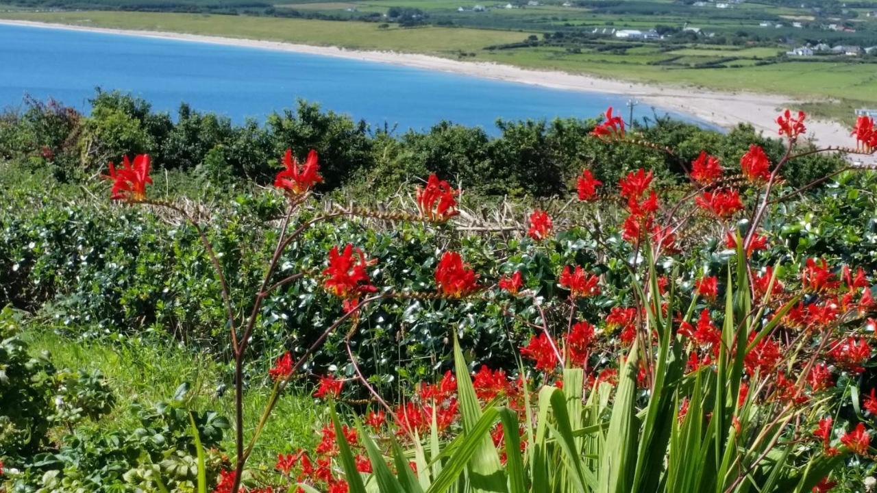 The Plough B&B Ventry Luaran gambar