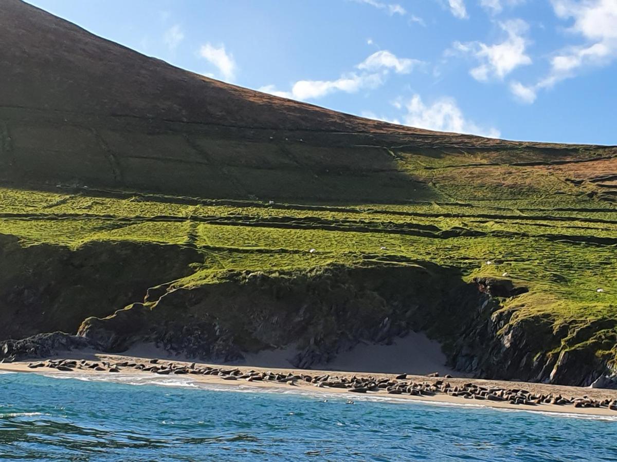 The Plough B&B Ventry Luaran gambar